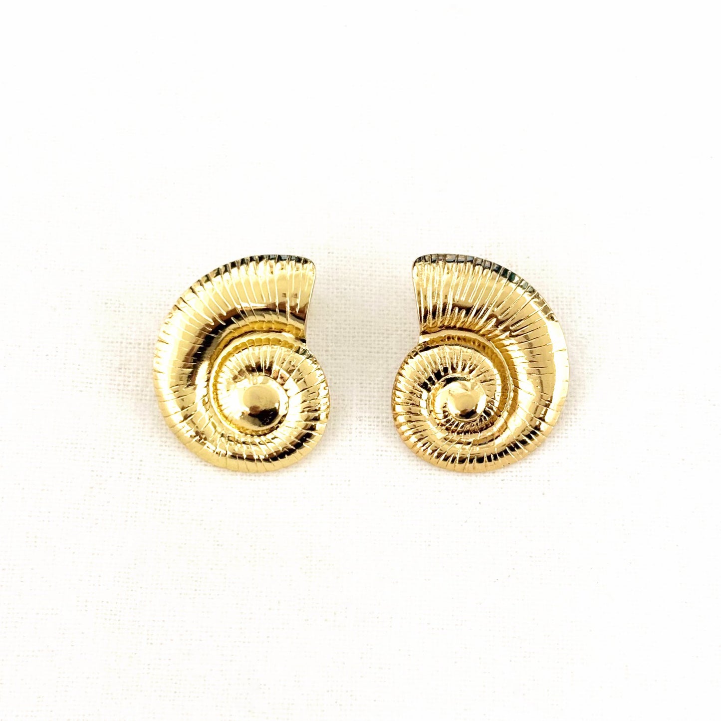 Boucles D'Oreilles Acier Inoxydable Coquillage
