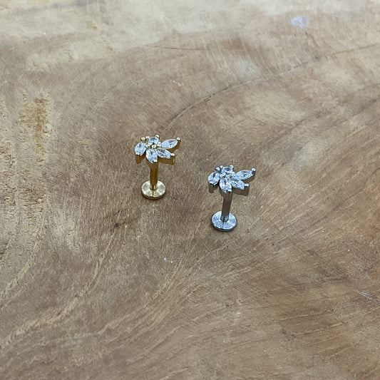 Piercing D'Oreille Tragus Lobe