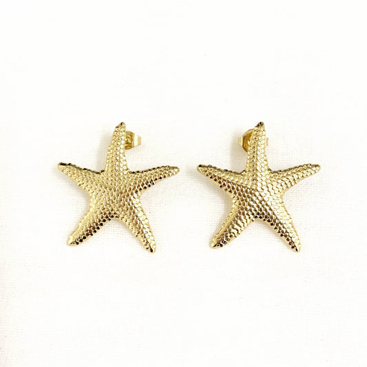 Boucles D'Oreilles Acier Inoxydable Etoile De Mer