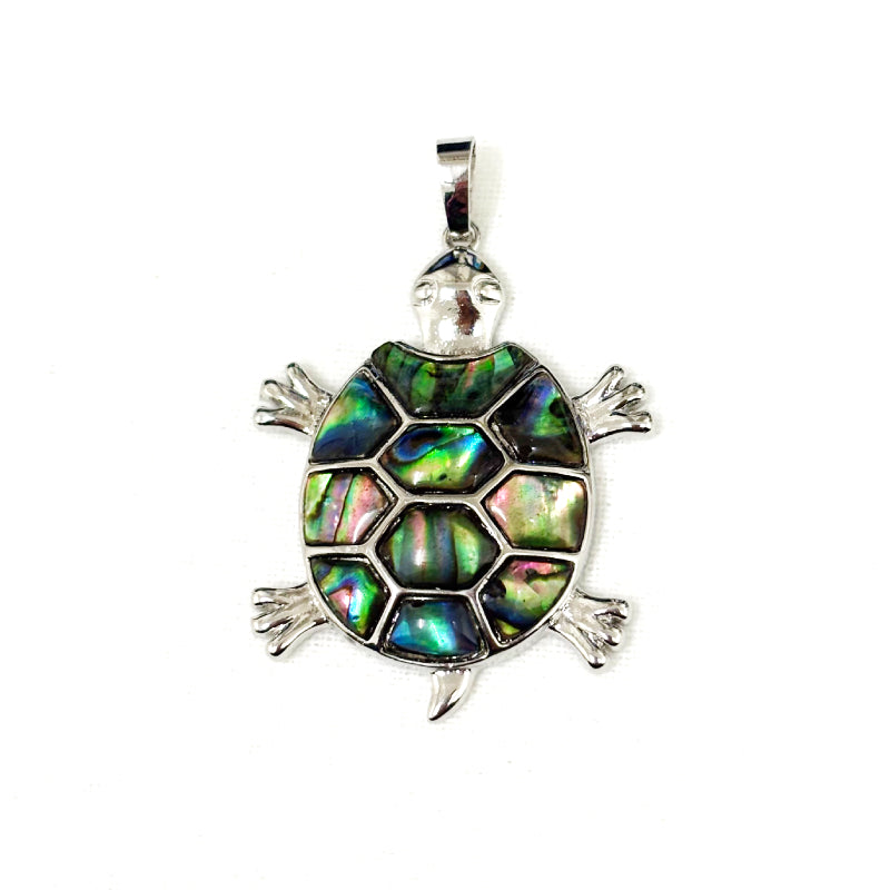 Broche Nacre Abalone Tortue